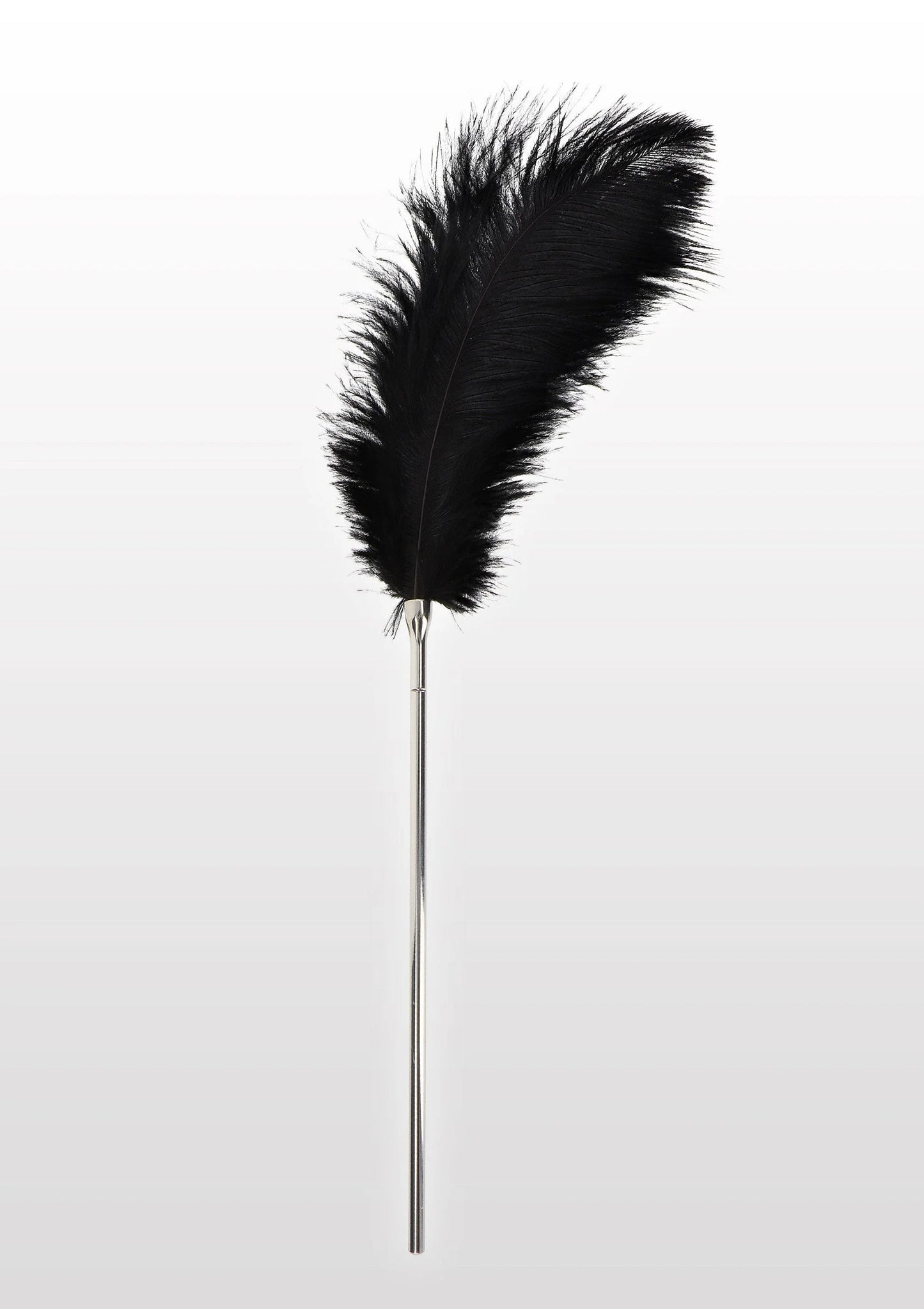 Bestel: Feather Tickler - bij Happytoys: de erotische sex webshop | liever Happy dan Easy βββββ