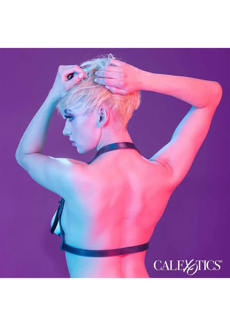 CalExoticsEuphoriaCollectionHalterBuckleHarness6 @ Happytoys Sexshop: online sex shop for Feeling Happy & Easy π the erotic store owned by a woman