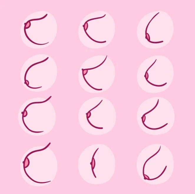 Kunst borsten - Happytoys Sexshop: online sex shop for Feeling Happy & Easy 😊 - Discreet geleverd