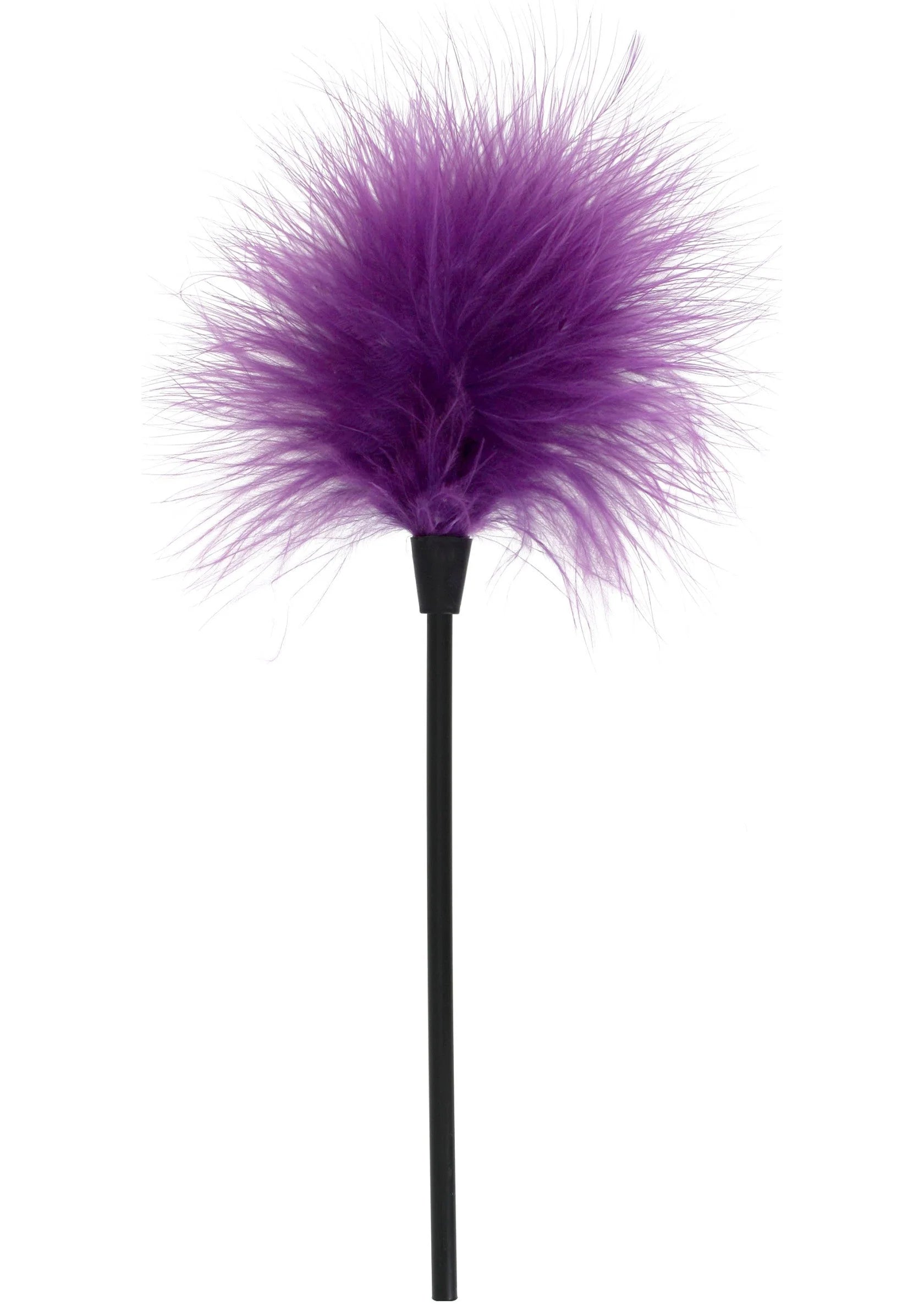 Beste vandaag nog: Sexy Feather Tickler by ToyJoy - bij Happytoys Sexshop: Toys for Feeling Happy & Easy 😊 - Paars - 10305 - PURPLE