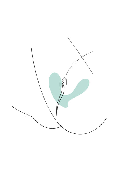 Gebruiksillustratie: U-vormige clitoris-tikker/vibrator met contactpunten aangegeven