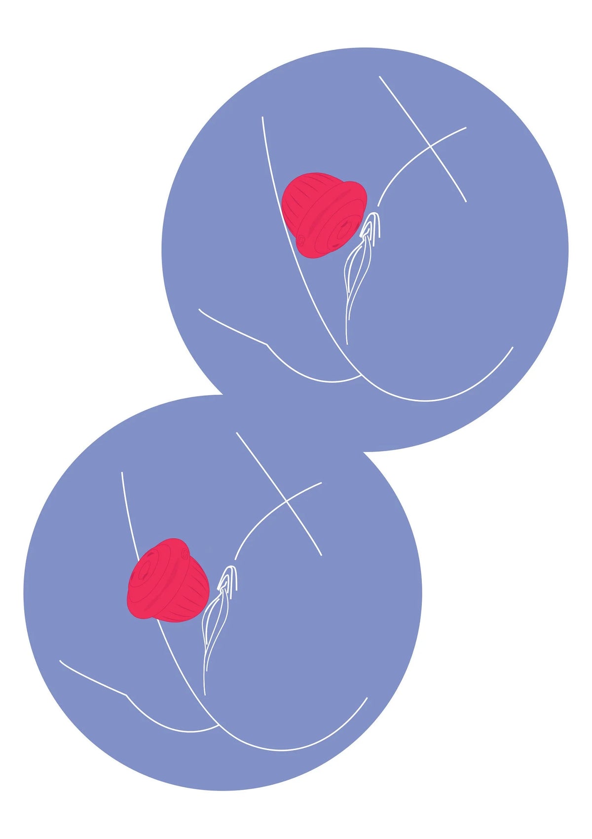 Beste vandaag nog: Pearl Pulse Duo Clitoris Stimulator by Xocoon - bij Happytoys