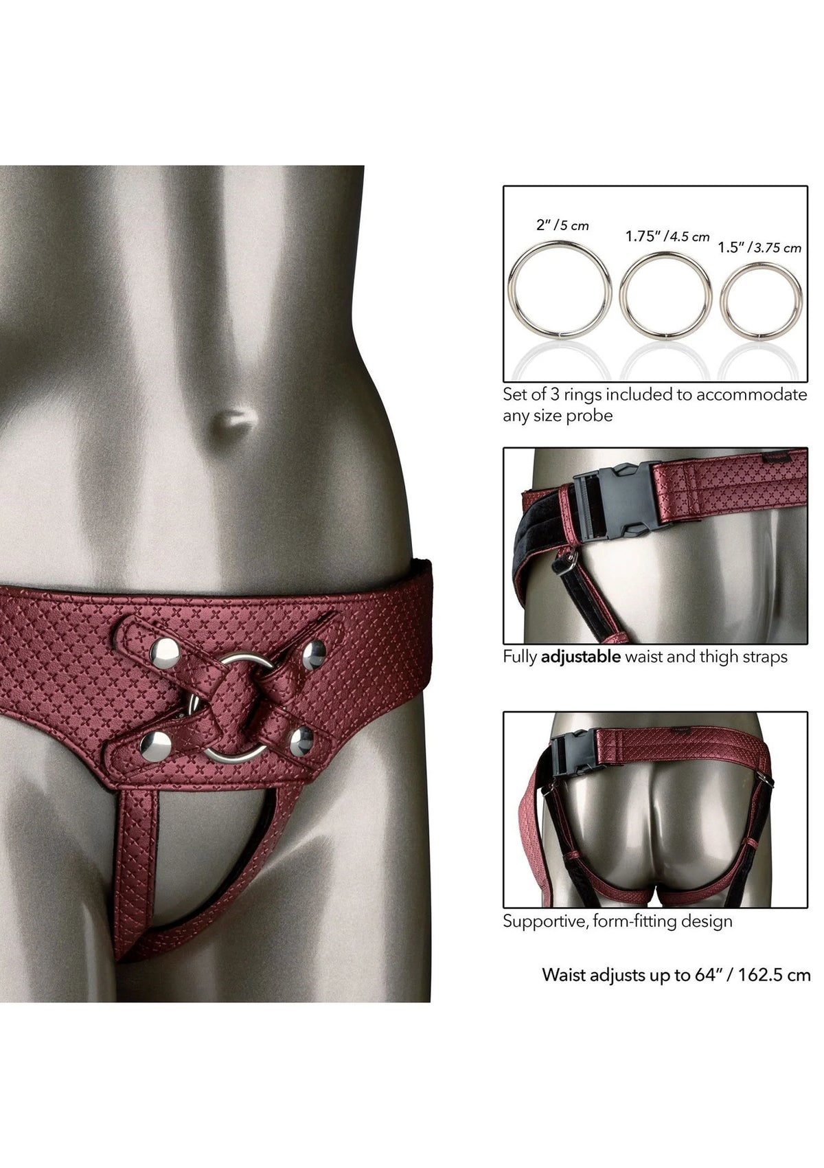 Close-up rood harnasriem met oogjes, vetersluiting en open kruis