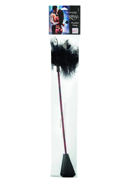 Zwarte feather crop in verpakking: lange steel met pluizige veer en zwarte slagdop