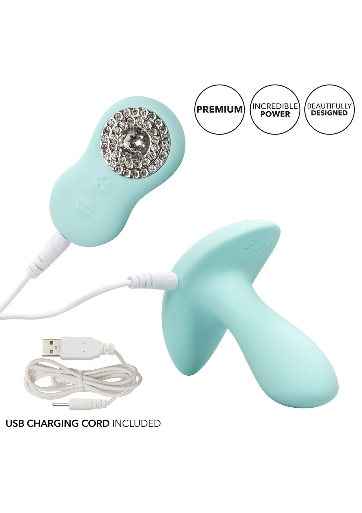 Beste vandaag nog: Pave Audrey Anaal Probe met afstandbediening by Jopen - bij Happytoys