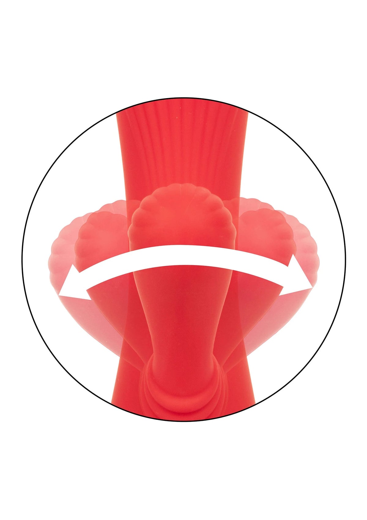 Beste vandaag nog: California Dreaming Palisades Passion by CalExotics - bij Happytoys