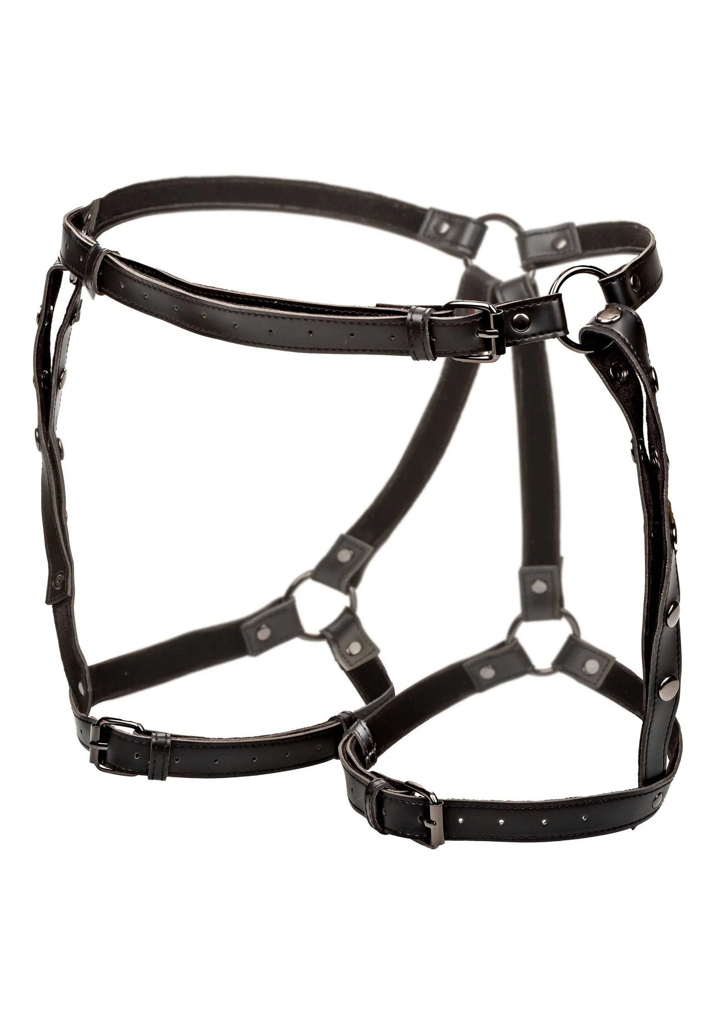 Beste vandaag nog: Euphoria Collection Plus Size Riding Thigh Harness by CalExotics - bij Happytoys - Default Title - 16707 - BLACK
