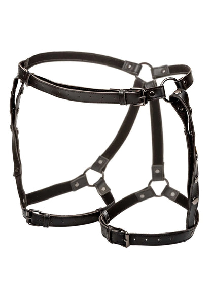 Beste vandaag nog: Euphoria Collection Plus Size Riding Thigh Harness by CalExotics - bij Happytoys - Default Title - 16707 - BLACK