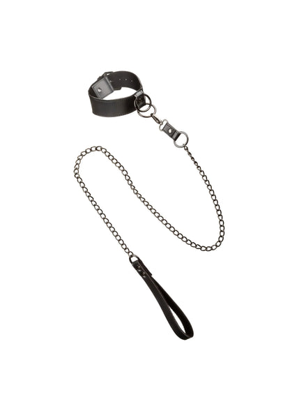 Beste vandaag nog: Euphoria Collection Collar with Chain Leash by CalExotics - bij Happytoys - Default Title - 16713 - BLACK