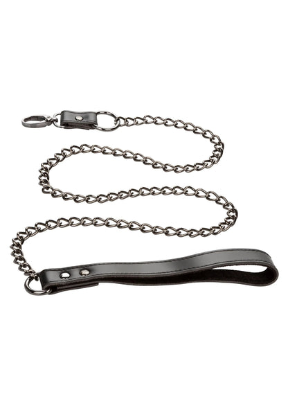 Beste vandaag nog: Euphoria Collection Collar with Chain Leash by CalExotics - bij Happytoys