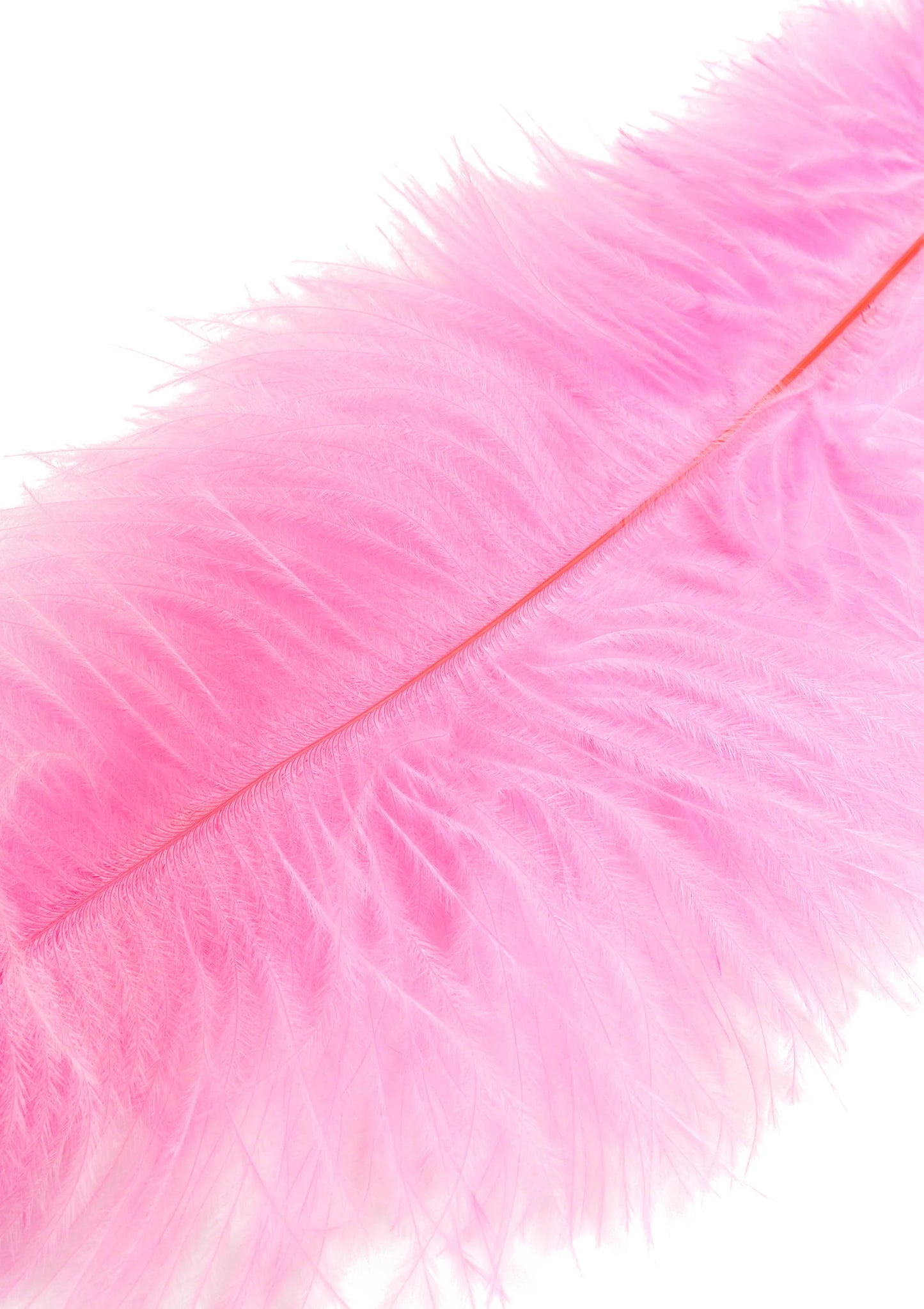 16899_PINK_04 | bestel discreet online bij Happytoys, de erotische webshop geleid door een vrouw.