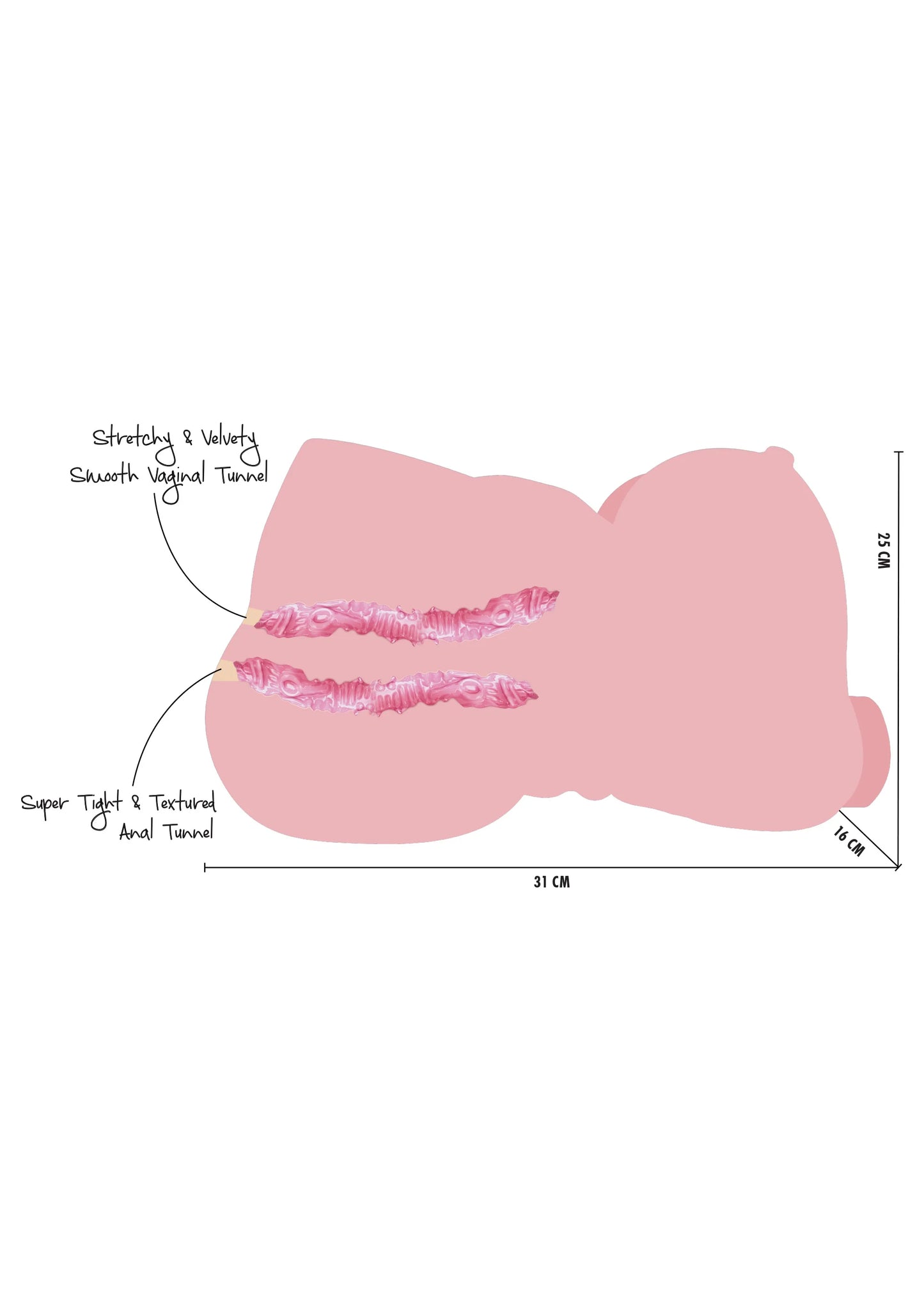 Afmetingsdiagram van het seksspeeltje met 31 cm lengte en 18 cm breedte.