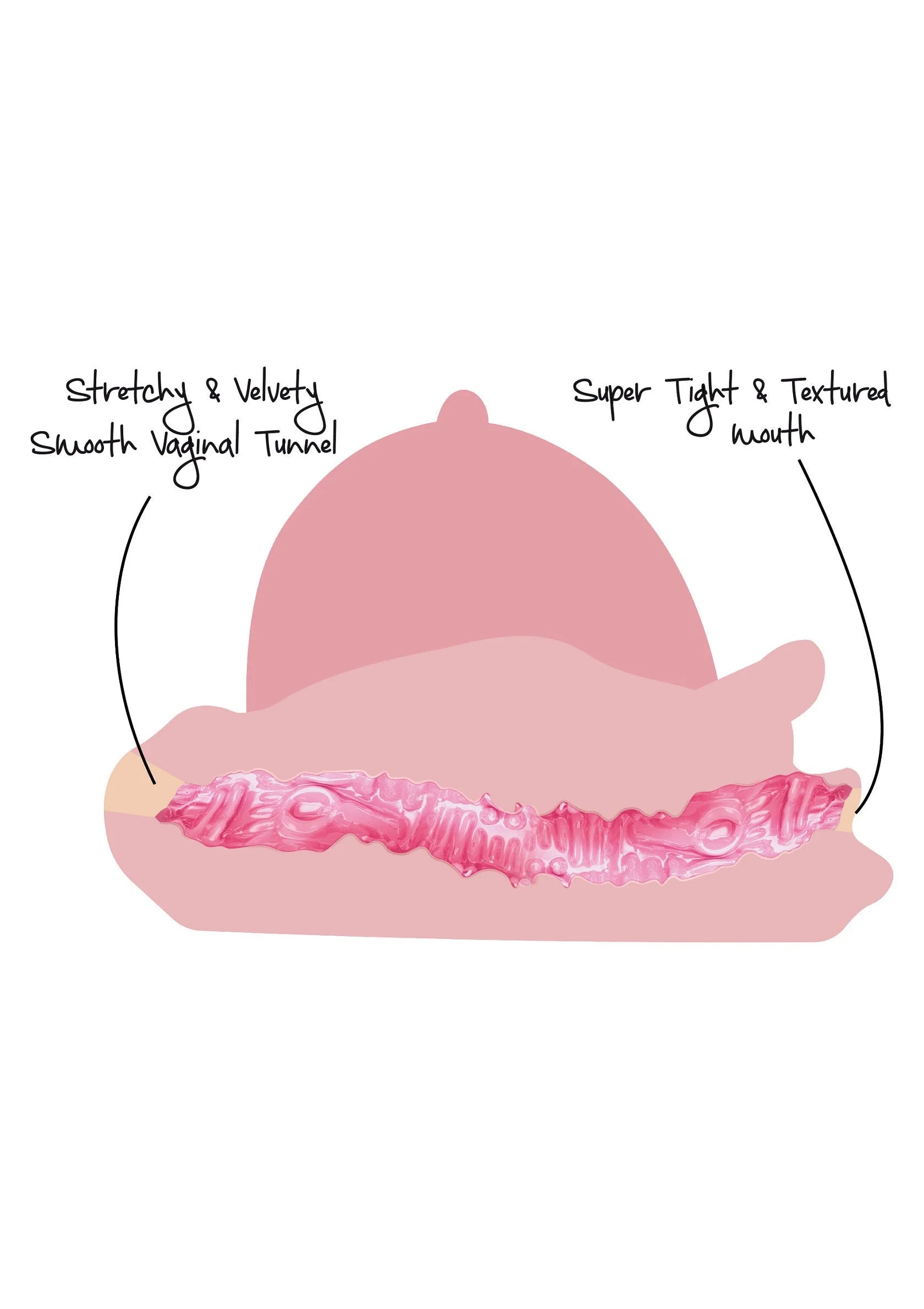 Doorsnedediagram van getextureerd vaginale kanaal, roze doorsnedevorm