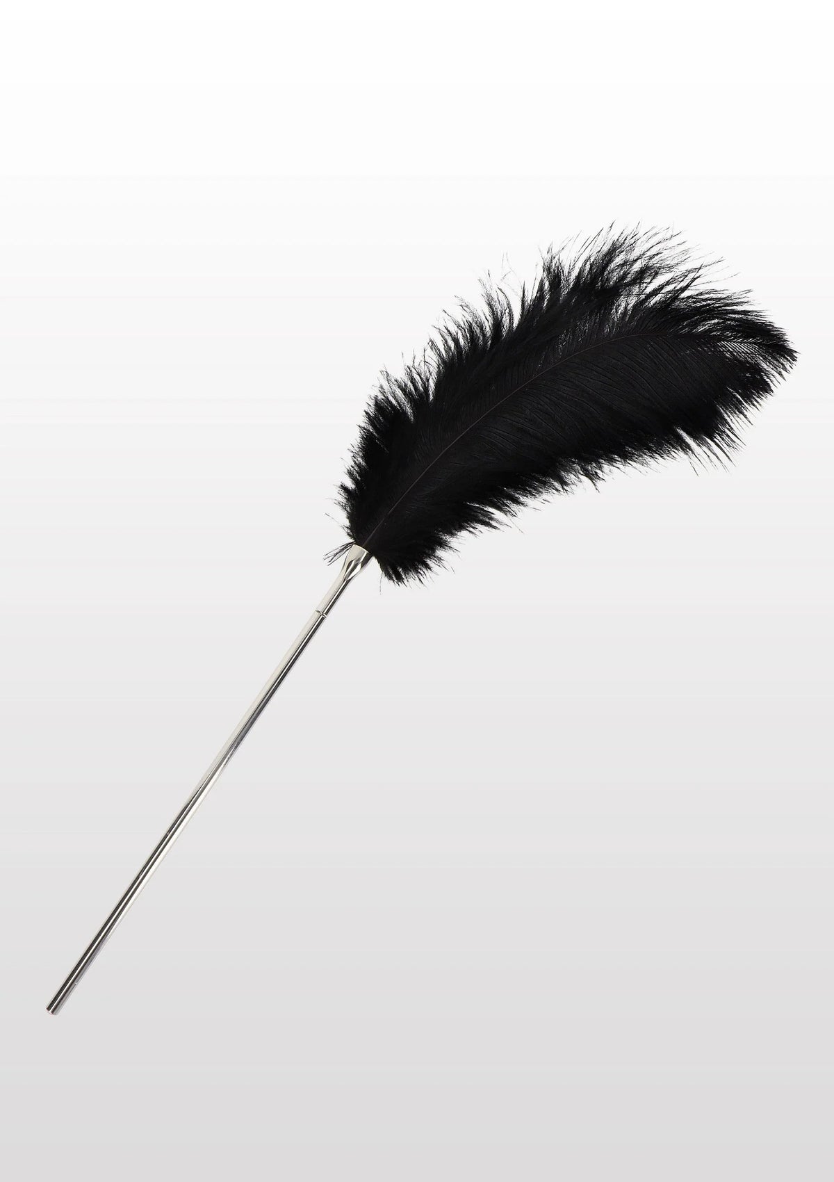 Bestel: Feather Tickler - bij Happytoys: de erotische sex webshop | liever Happy dan Easy ⭐⭐⭐⭐⭐