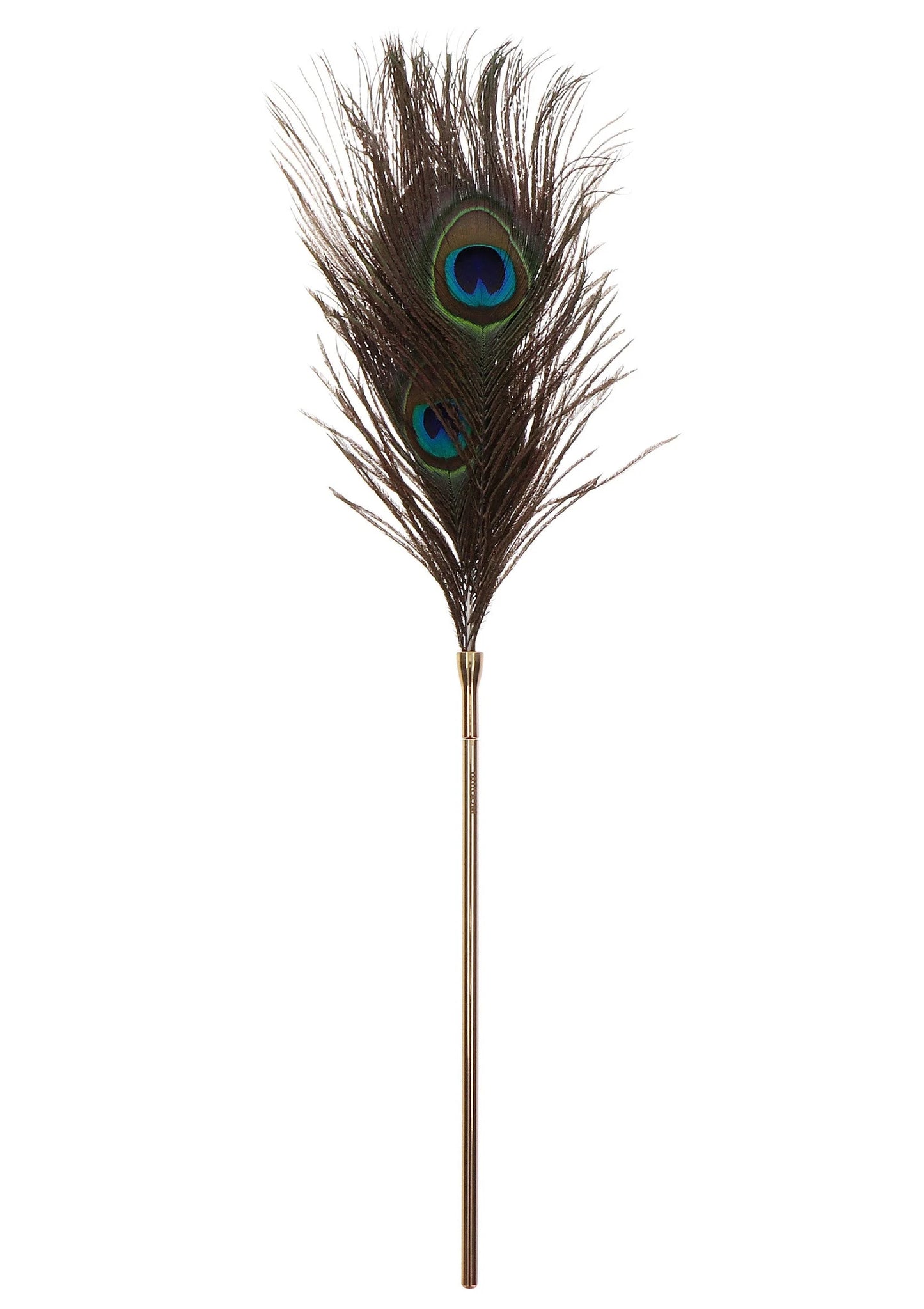 Los pauwveertje op gouden steel met twee blauwe oogvlekken