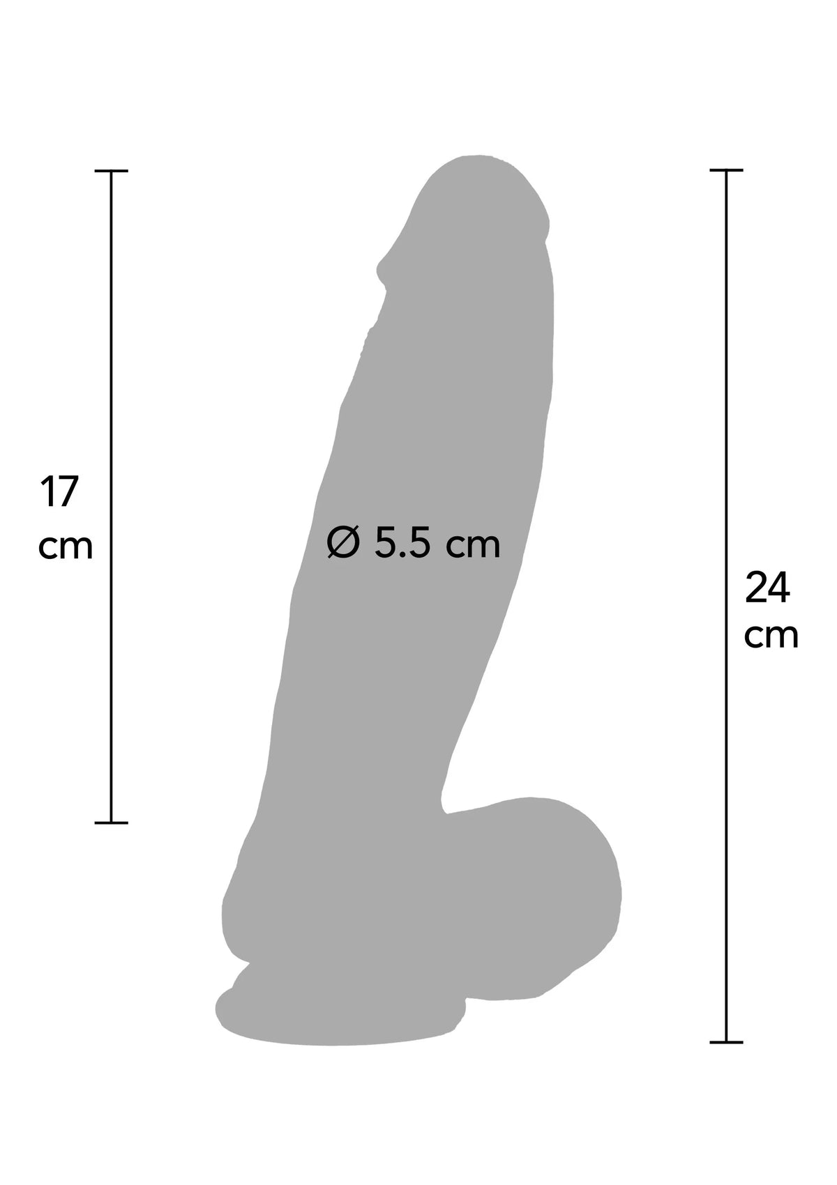 Afmetingenschets: dildo-silhouet 17 cm hoog, Ø 5,5 cm, 24 cm lang