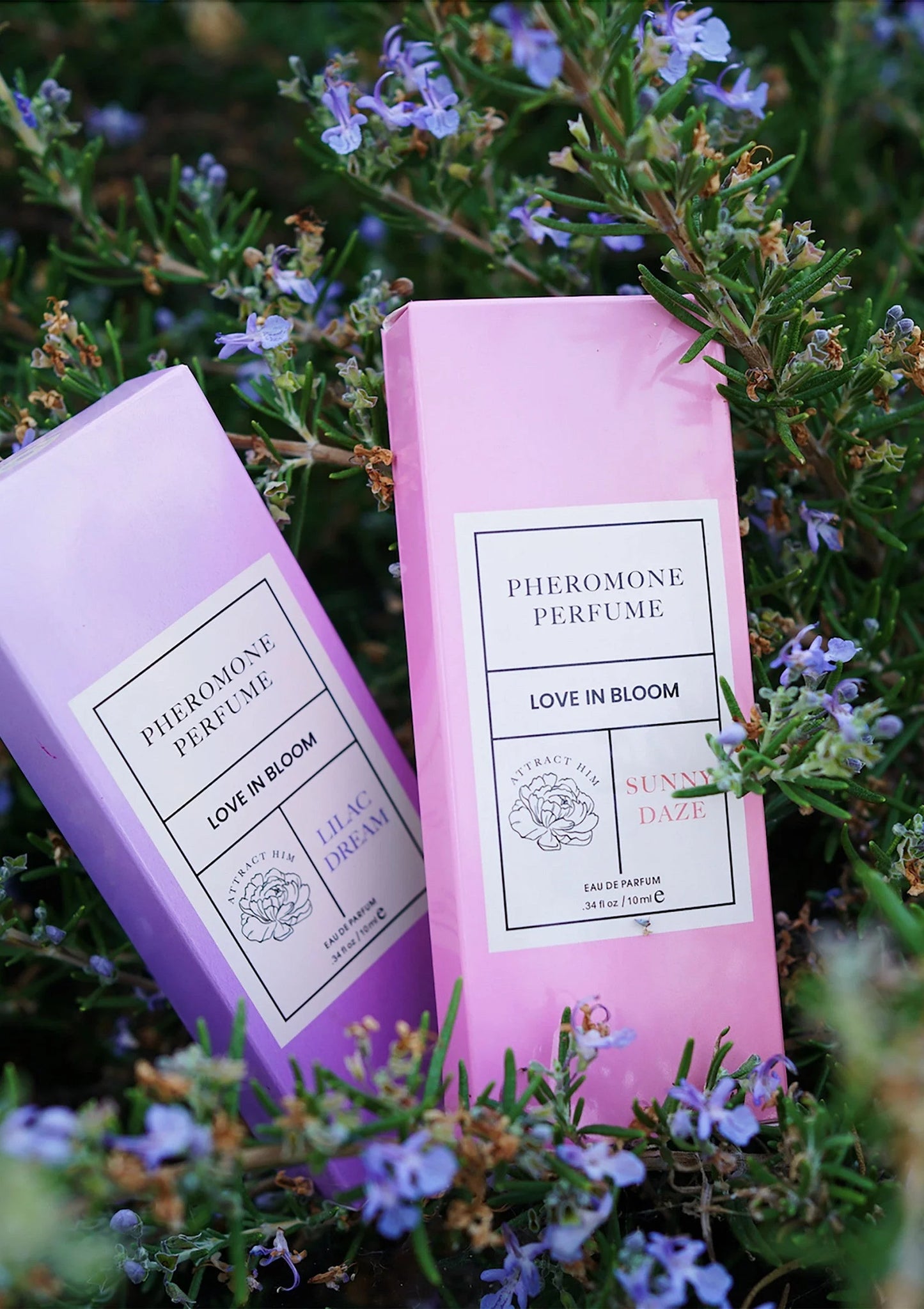 Twee paarse parfumdozen met flesje, label 'Love in Bloom'