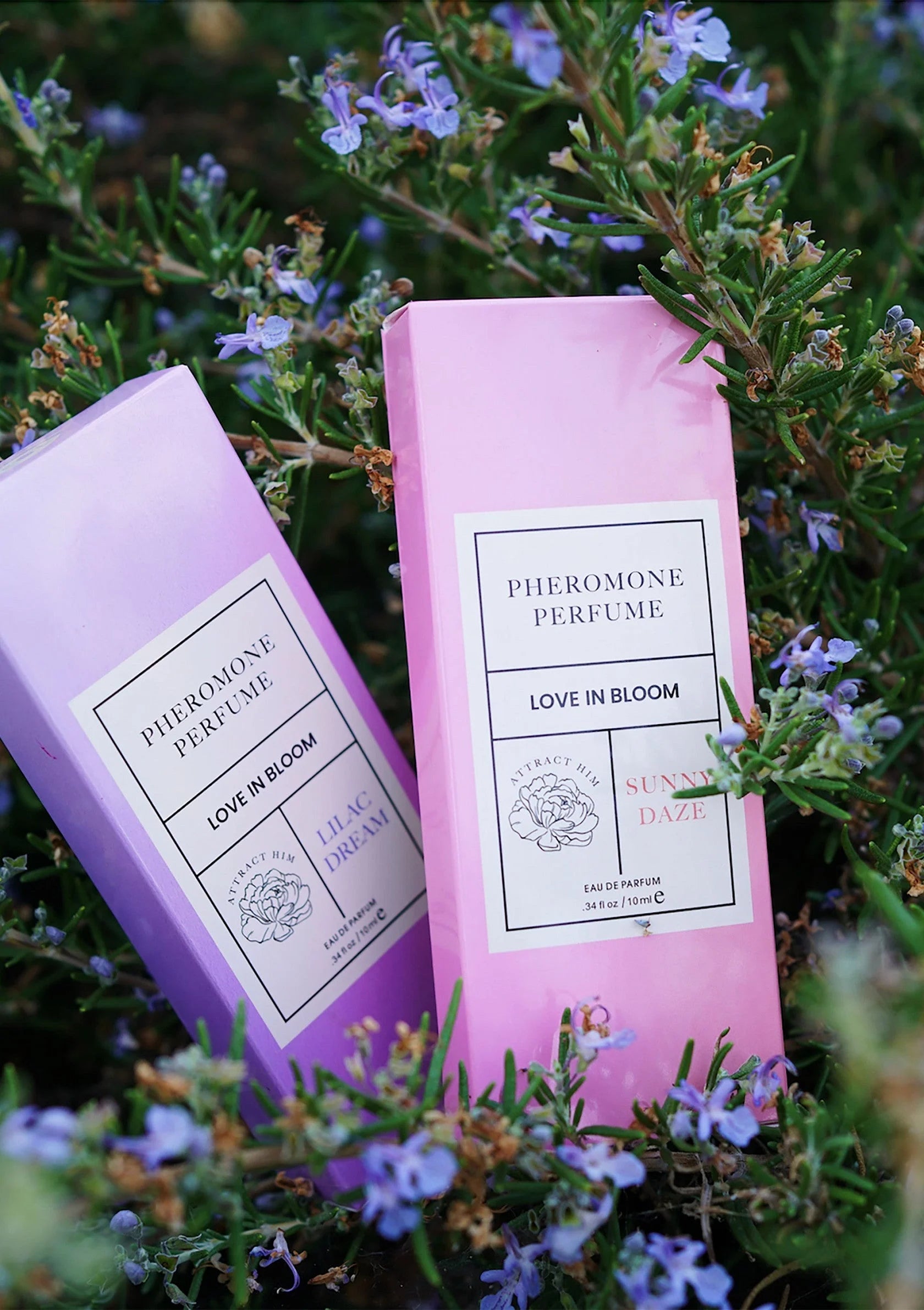 Twee paarse parfumdozen met flesje, label 'Love in Bloom'