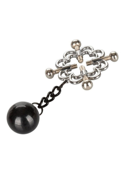 Beste vandaag nog: 4 - Point Weighted Nipple Press by CalExotics - bij Happytoys