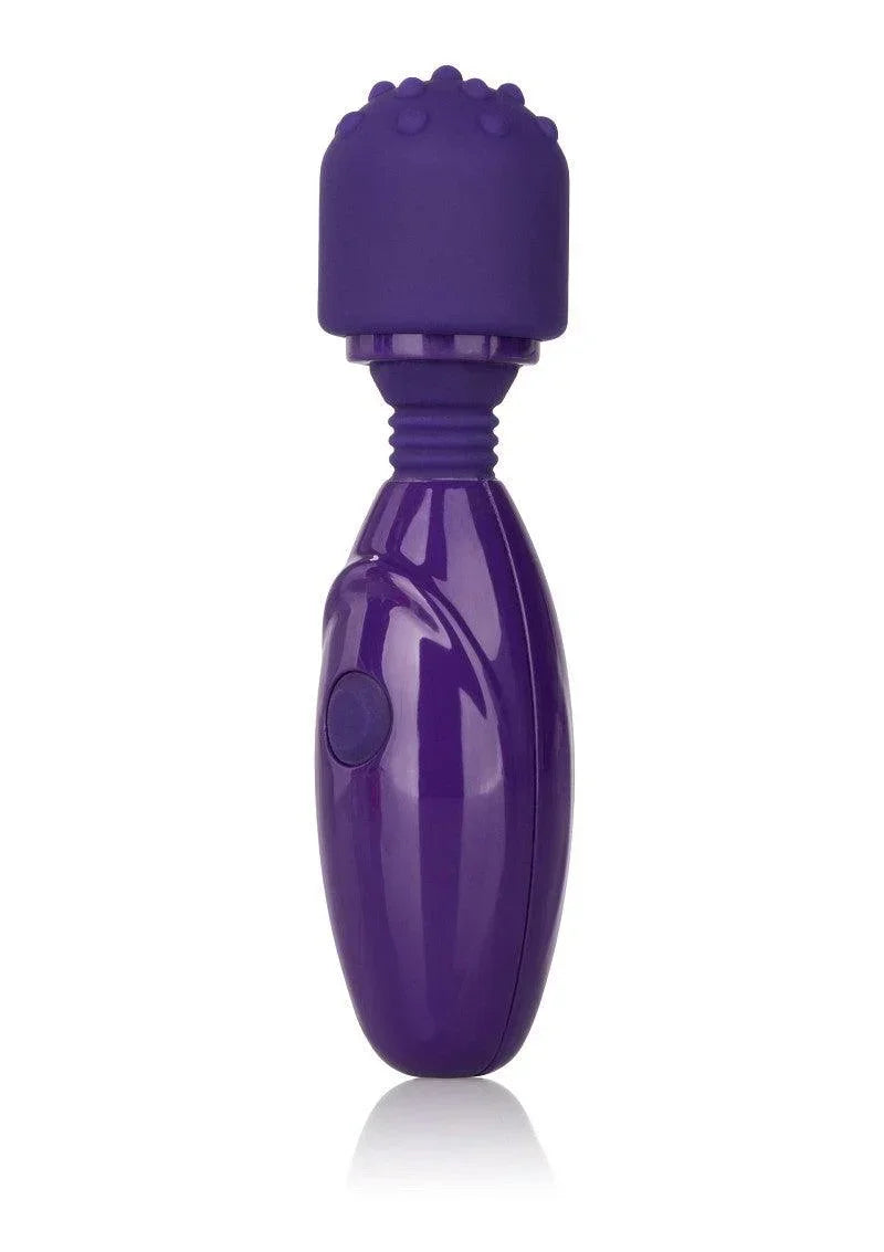 Paarse kleine vibrator met noppenkop, glanzende behuizing en ovale knop