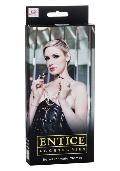 Doos met Entice Accessories tiered intieme klemmen van CalExotics, met model