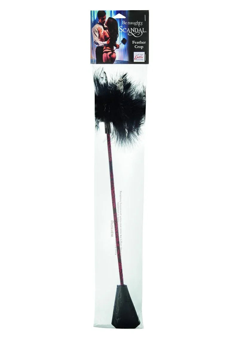 Zwarte feather crop op kaartverpakking met pluizige zwarte veer en lange steel