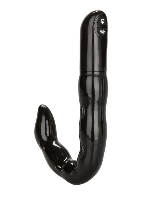 Dr. Joel Kaplan Versatile Prostate Stimulator by CalExotics - Happytoys Sexshop: online sex shop for Feeling Happy & Easy 😊 - Discreet geleverd