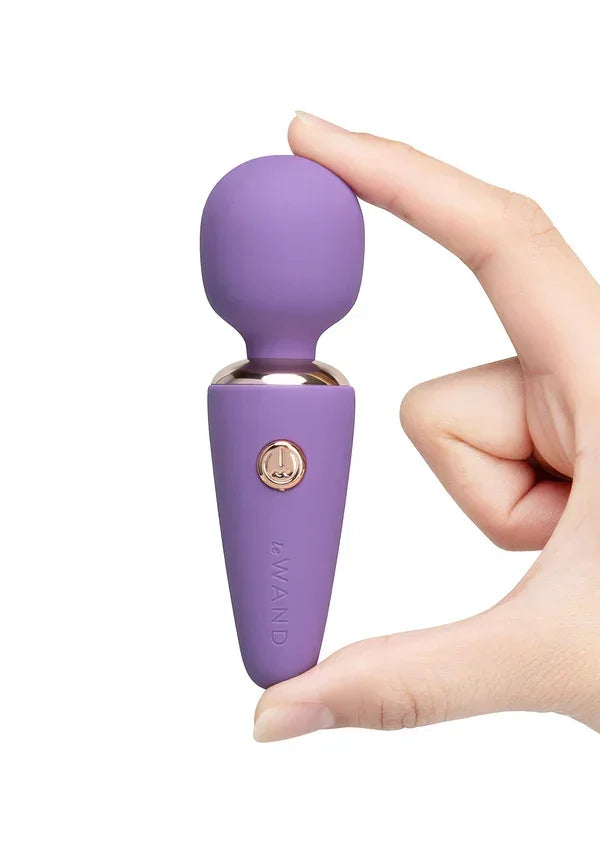 LeWandMiniMicroWand1 | bestel discreet online bij Happytoys, de erotische webshop geleid door een vrouw.