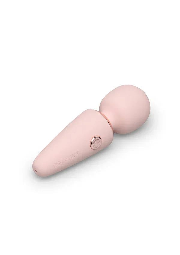 LeWandMiniMicroWand10 | bestel discreet online bij Happytoys, de erotische webshop geleid door een vrouw.