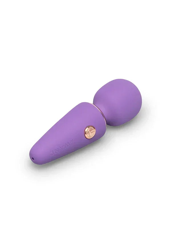 LeWandMiniMicroWand6 | bestel discreet online bij Happytoys, de erotische webshop geleid door een vrouw.