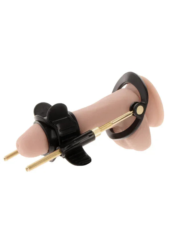 Beste vandaag nog: Penis Growth Training Comfort Set by Hidden Desire Fusion - X - bij Happytoys Sexshop: Toys for Feeling Happy & Easy 😊