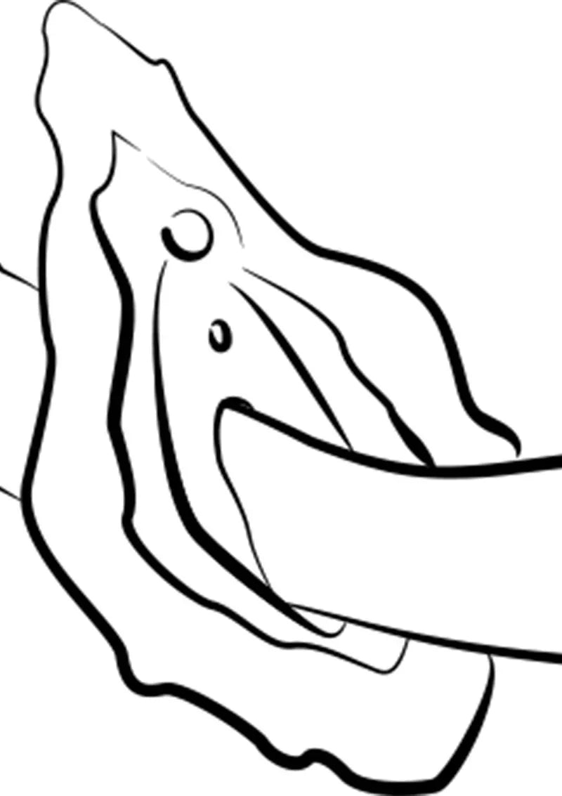 Hype Vibrator by Romp - Happytoys Sexshop: online sex shop for Feeling Happy & Easy 😊 - Discreet geleverd